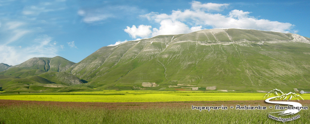 Monti Sibillini - Monte Vettore - Fioritura